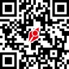 QR-Code des Unternehmens Platinium Group