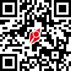 Company QR Code Platinium Group