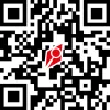 Codice QR aziendale Platinium Group