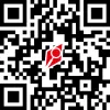 QR-код компании Platinium Group