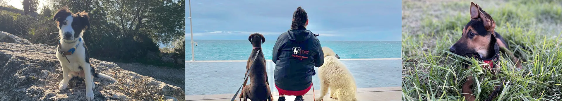 Logo aziendale Dog Walker Monaco L&A