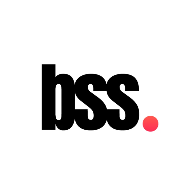 Logo de l'entreprise BSS