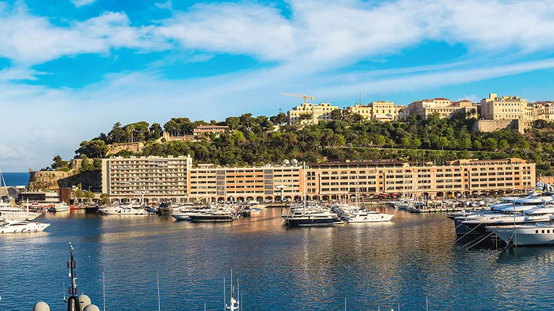 Logo de l'entreprise Centre Scientifique de Monaco