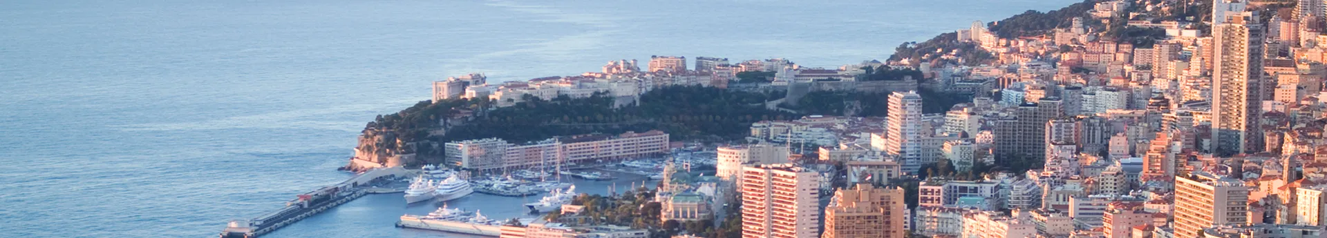 Logo de l'entreprise Findr.